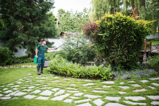 Best Pest Control Cost  in Wickenburg, AZ