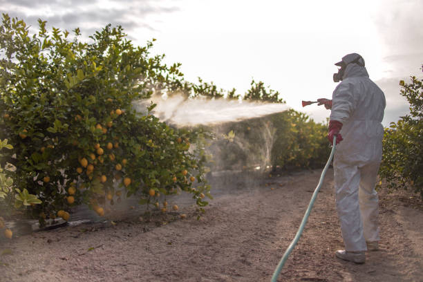 Trusted Wickenburg, AZ Pest Control Experts