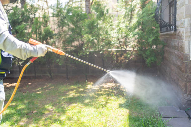 Best Pest Prevention Services  in Wickenburg, AZ