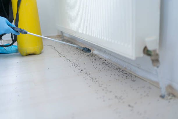 Best Wildlife Control Services  in Wickenburg, AZ