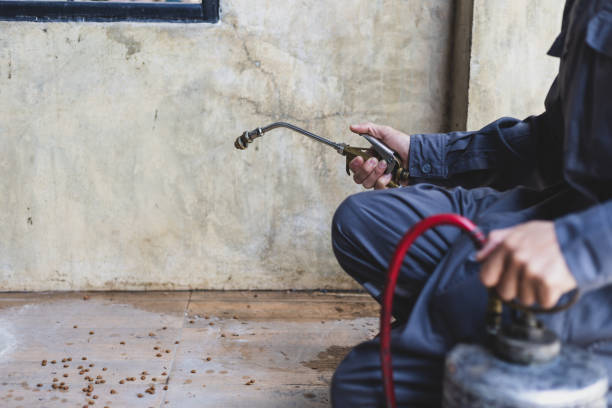 Pest Control Cost in Wickenburg, AZ