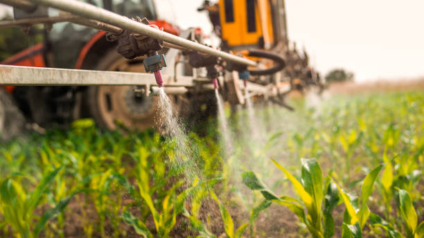 Best Commercial Pest Control Services  in Wickenburg, AZ